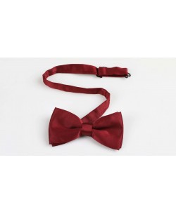 NP-408 Noeud papillon bordeaux