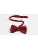 NP-408 Noeud papillon bordeaux