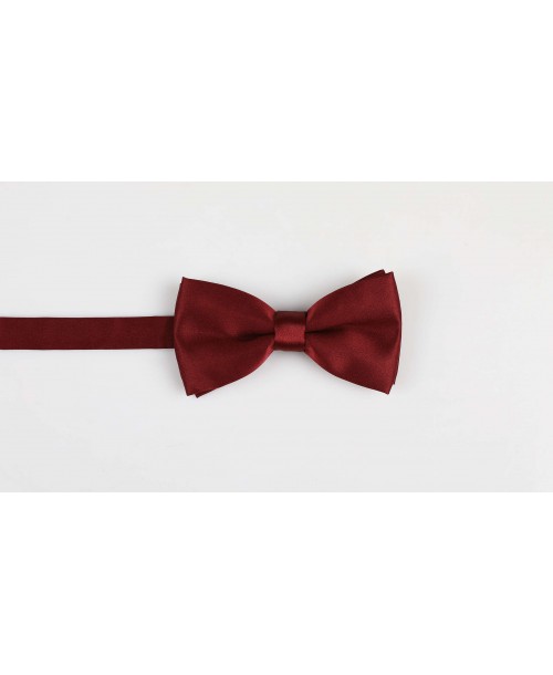 NP-408 Noeud papillon bordeaux