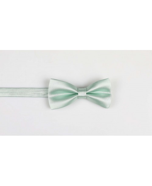 NP-412 Noeud papillon vert sauge