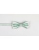NP-412 Noeud papillon vert sauge
