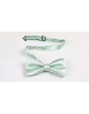 NP-412 Noeud papillon vert sauge