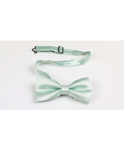 NP-412 Noeud papillon vert sauge