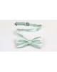 NP-412 Noeud papillon vert sauge