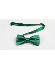 NP-415 Noeud papillon vert bouteille