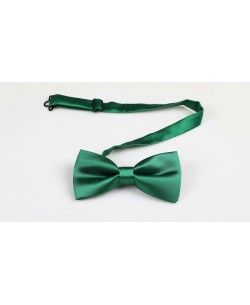 NP-415 Noeud papillon vert bouteille