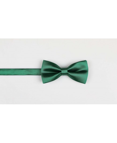 NP-415 Noeud papillon vert bouteille
