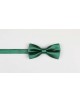 NP-415 Noeud papillon vert bouteille