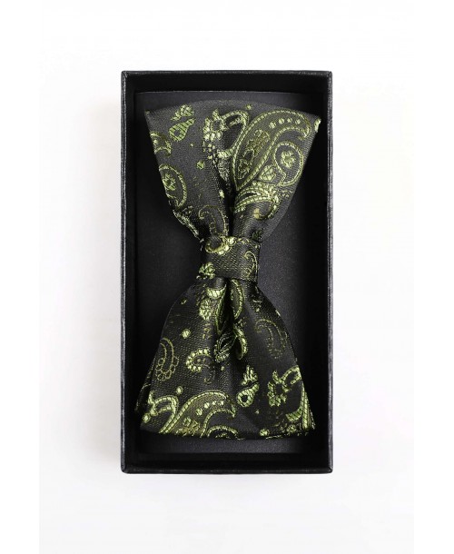 BT-0583 Coffret noeud papillon & pochette à motifs en vert