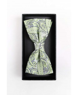 BT-0609 Green printed bow tie in box & pocket square