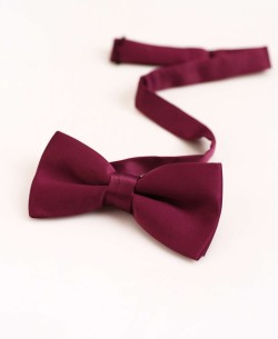 NP-605 Bow tie in burgundy premium