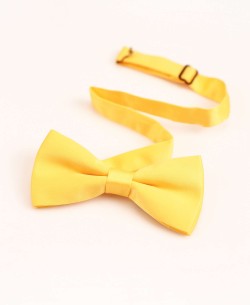 NP-607 Bow tie in gold premium