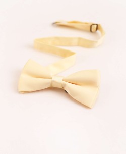 NP-608 Champagne bow tie