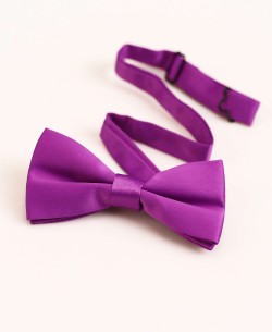NP-609 Bow tie in lilas premium