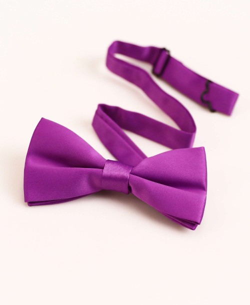 NP-609 Noeud papillon lilas premium