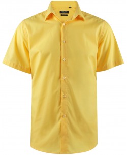 YE-2314 Chemisette jaune popeline de coton en confort fit