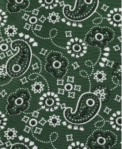SLIM5039-02 Slim fit gren shirt PAISLEY prints