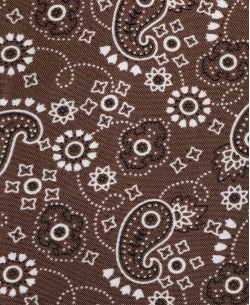 SLIM5039-03 Slim fit brown shirt PAISLEY prints