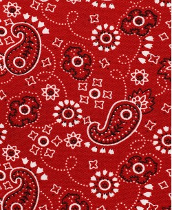 SLIM5039-04 Slim fit red shirt PAISLEY prints