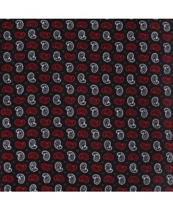 1506230-04 Black shirt PAISLEY prints comfort fit