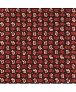 SLIM5046-03 Slim fit BURGUNDY shirt PAISLEY prints