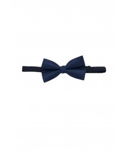 NP-P1319 Navy printed bow tie in box & pocket square