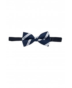 NP-P1323 Navy printed bow tie in box & pocket square