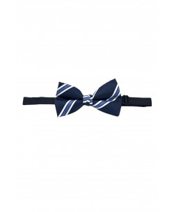 NP-P1326 Navy printed bow tie in box & pocket square