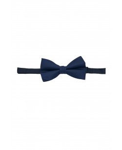 NP-P1329 Navy printed bow tie in box & pocket square